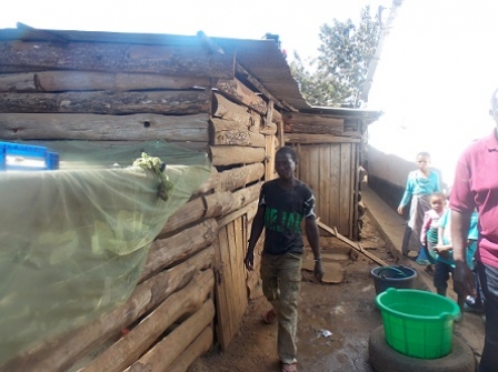 In the news: Rearing of pigs in Lilongwe’s Area 36 irks Mwenyekondo community